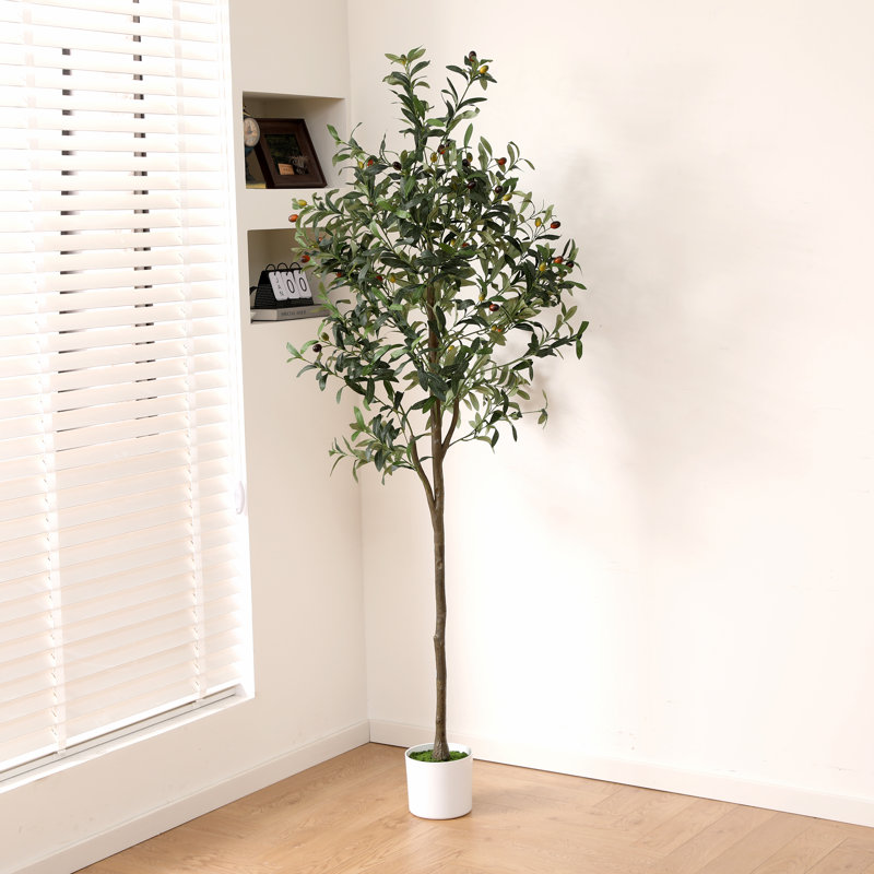 Faux Plant, 185cm Faux Olive Tree