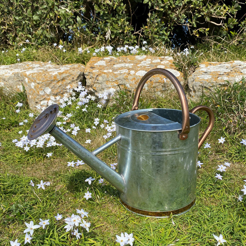 Metal Plant Stand