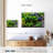 Bundled Herbs-2109336632