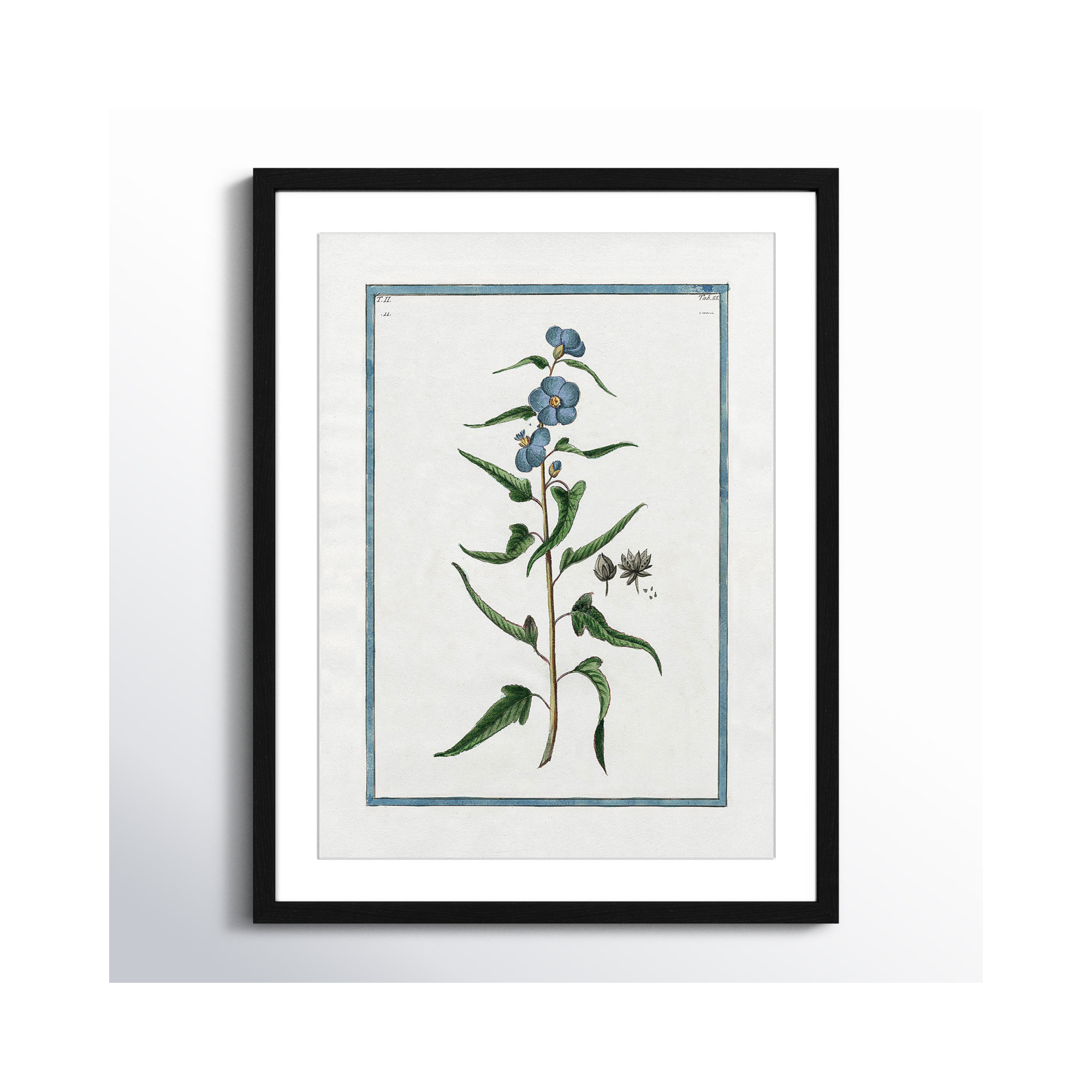 Shabby Elegance Botanical I - Framed Art Full Bleed, 17" W x 23" H, Black Framed