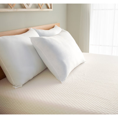  Coussin en polyester / polyester