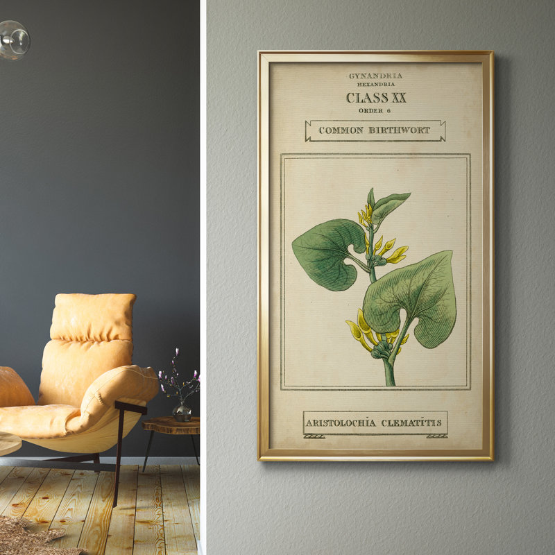 Linnaean Botany V - peinture sur toile encadrée, H 14,5 po x l 26,5 po x P 1,5 po, Doré