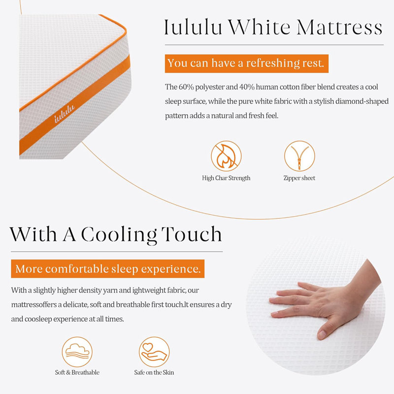 Alwyn Home 14" Medium Memory Foam Mattress In a Box, Queen