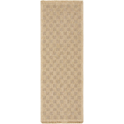 Abbie Checkered Indoor / Outdoor Rug