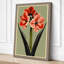 Amaryllis Study Botanical - Wrapped Canvas-735247805-735247797