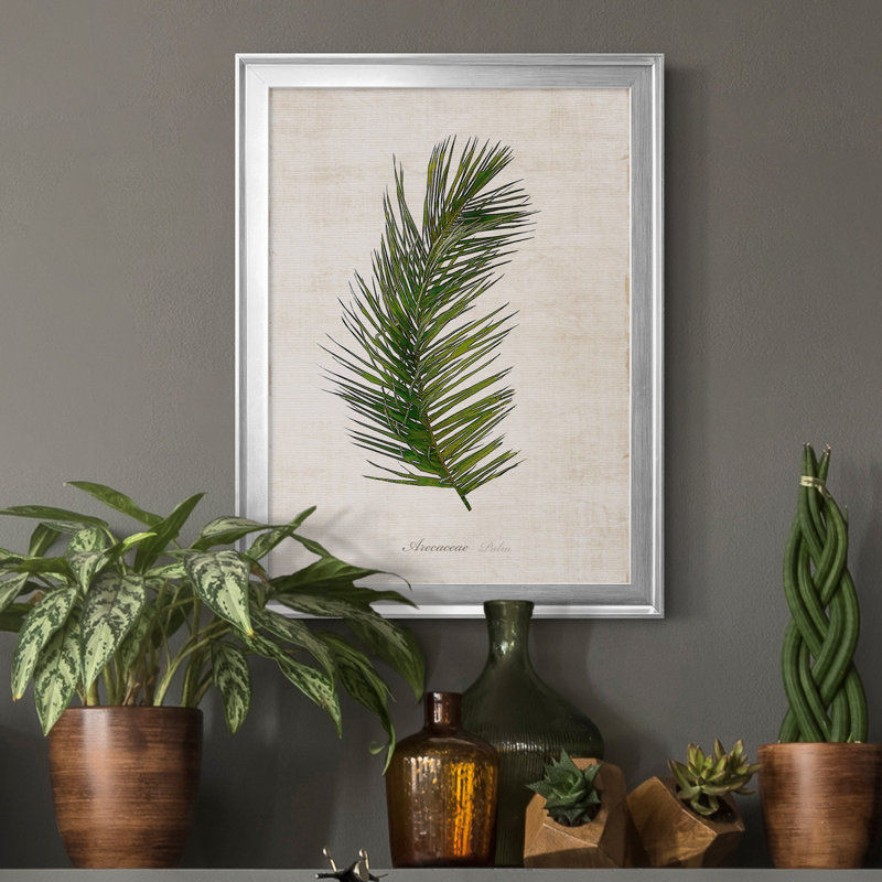 Palm Botanical II - Peinture sur toile encadrée, Argent, H 18,5 po x l 24,5 po x P 1,5 po