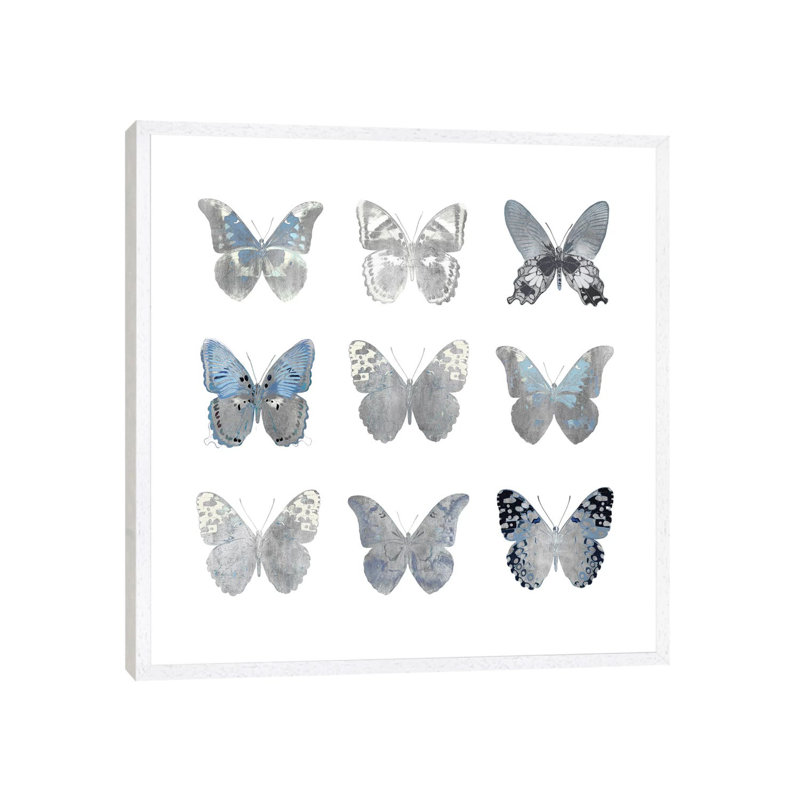 Butterfly Study II by Julia Bosco - Gallery-Wrapped Canvas Giclée on Canvas, White Framed, 93.98cm H x 93.98cm W