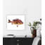 Red Fish I By John Beard - Framed Gallery Wrapped Canvas Print-1851587510-1851587511