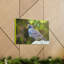 Impression sur toile majestueuse-597558650