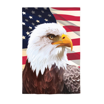 Drapeau de maison American Eagle