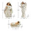 12pcs Ivory Resin Nativity Figurine Set-561437679-561437676