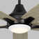 Melva 52'' Ceiling Fan with LED Lights