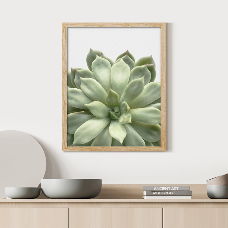 «Succulent Cactus Close Up Southwest Green Lily Pad» sur papier, H 10 po x l 8 po, Naturel