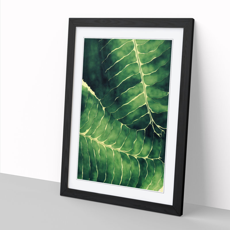 Aagman Fern Leaf In Watercolour Vol.2 - Single Picture Frame Print, Black, 46cm H x 34cm W x 2cm D