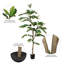 Nandina artificiel en pot vert.-20583806