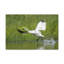 No Frame Print on Canvas