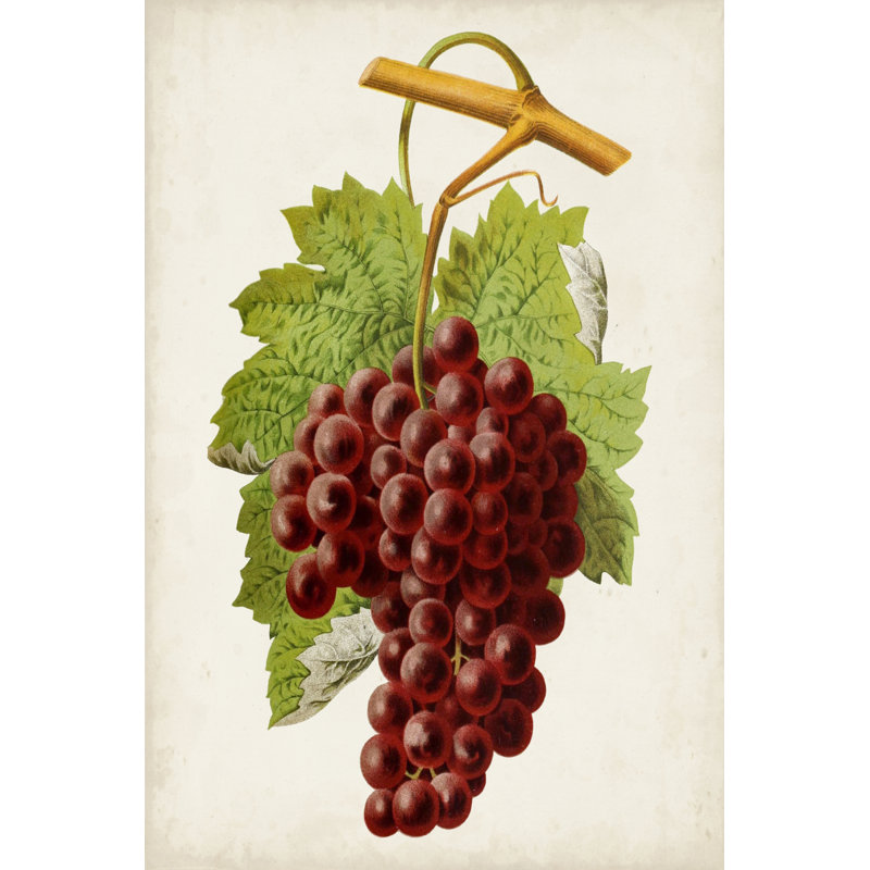 Antique Fruit III par Vision Studio - peinture sur toile tendue, H 18 po x l 12 po