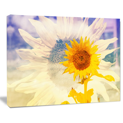 Double Exposure Yellow Sunflowers - reproduction de photo sur toile tendue
