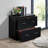 30'' Wide 2 -Drawer File Cabinet-1309178274