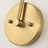 1-Light Oval Glass Armed Wall Sconce