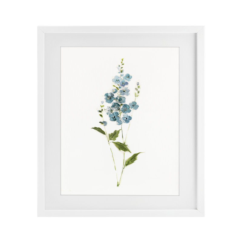 Impression délicate de brins bleus encadrés sous verre, design par Sally Swatland, 16 x 13