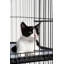 Cage à chat avec hamacs Elmo-38842669