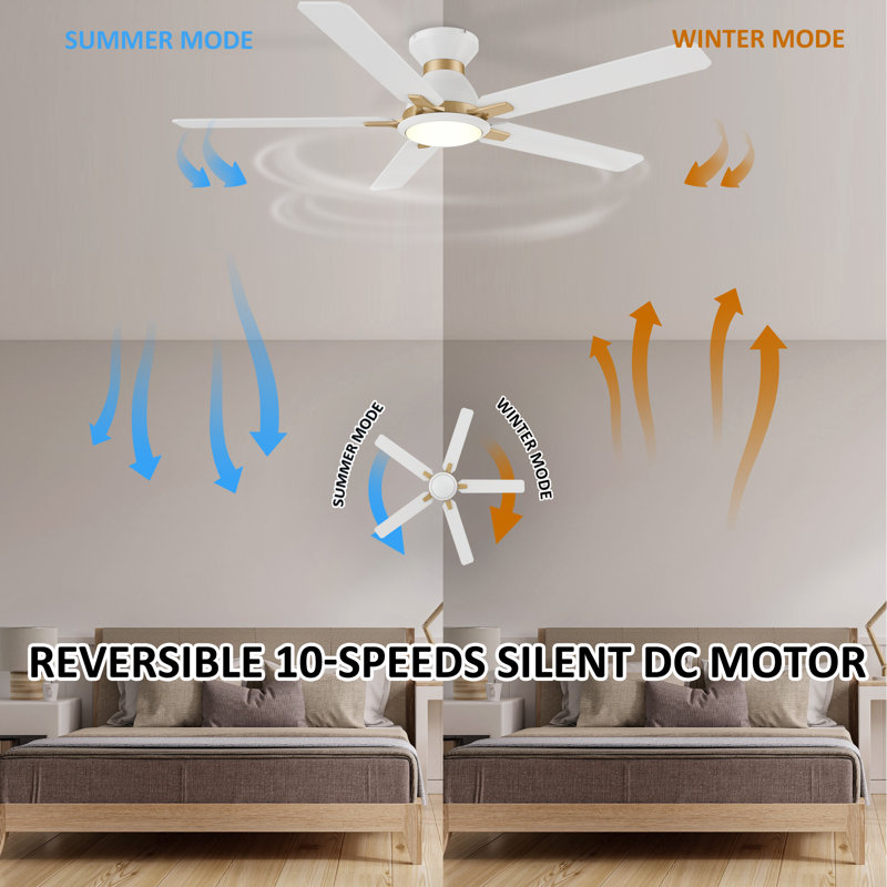 52" Smart Ceiling Fan with Light, White, White Gold