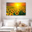 Alvord, coucher de soleil avec tournesols-107502720