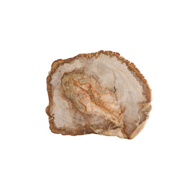 Petrified Slice Cheese Board & Platter
