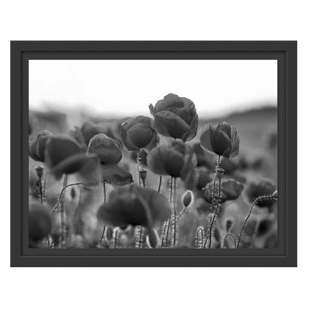 Gerahmtes Wandbild Feuriger Mohn Kunst B&W