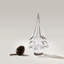 Spruce Evergreen-130438601