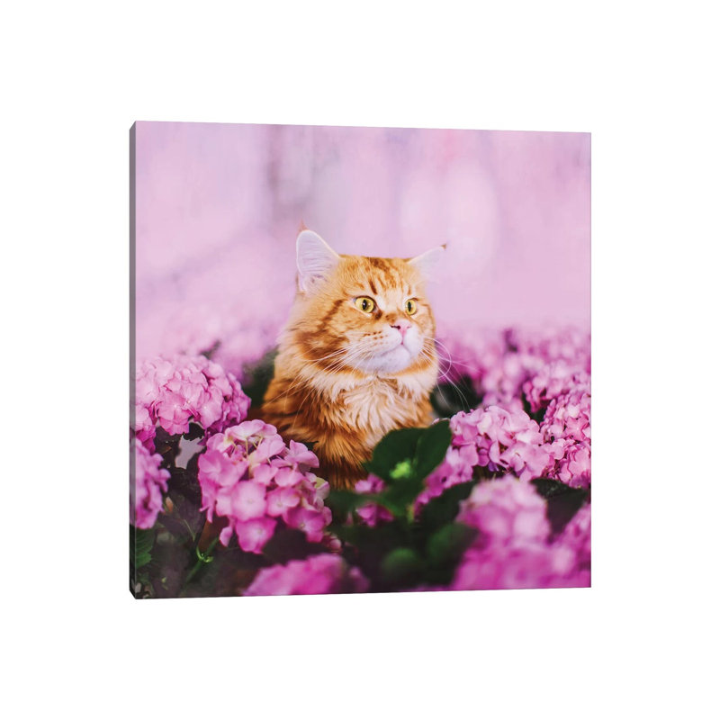 « What » par Hobopeeba-reproduction de photo, Pas de tapis, Toile tendue, H 12 po x l 12 po x P 0,75 po