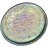 Copper / Copper Plated Tray