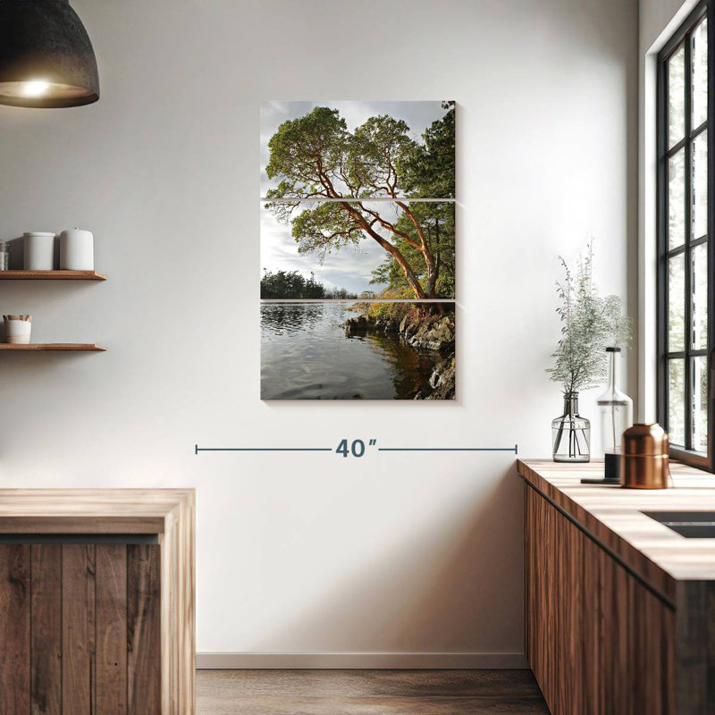 Arbousier Harnek au bord de l'eau, H 38 po x l 24 po