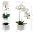 23" Artificial White Phalaenopsis Orchid in 5" White Cube Pot