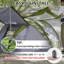 Remplacement transparent Rainfly-114893656
