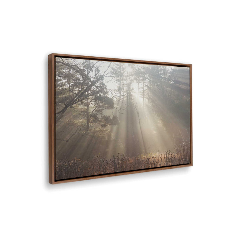 Watch Over You by Lori Deiter Art Print, Framed Canvas, Brown, 16 W x 12 H