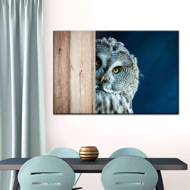 Peeking Owl - impression sur toile tendue, H 34 po x l 51 po x P 1,25 po