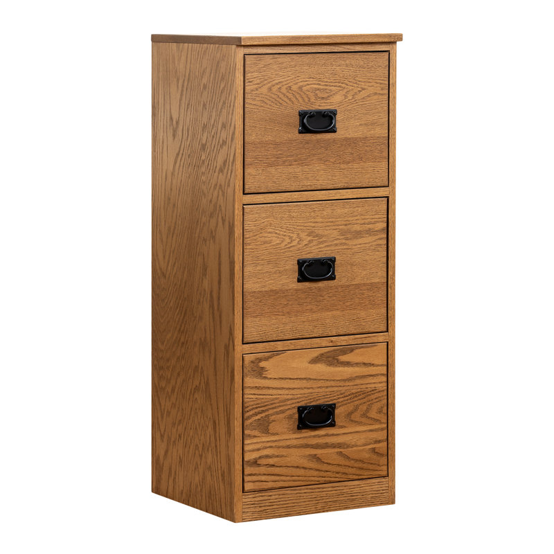 Ditlev 16'' Wide 3 -Drawer Solid Wood File Cabinet, Brown
