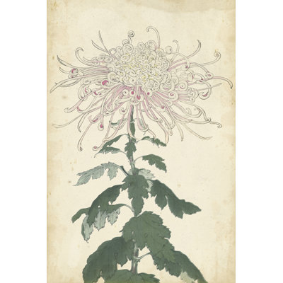 Elegant Chrysanthemums IV - Wrapped Canvas Painting