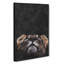 Lion Looking Upwards - Wrapped Canvas-56666008