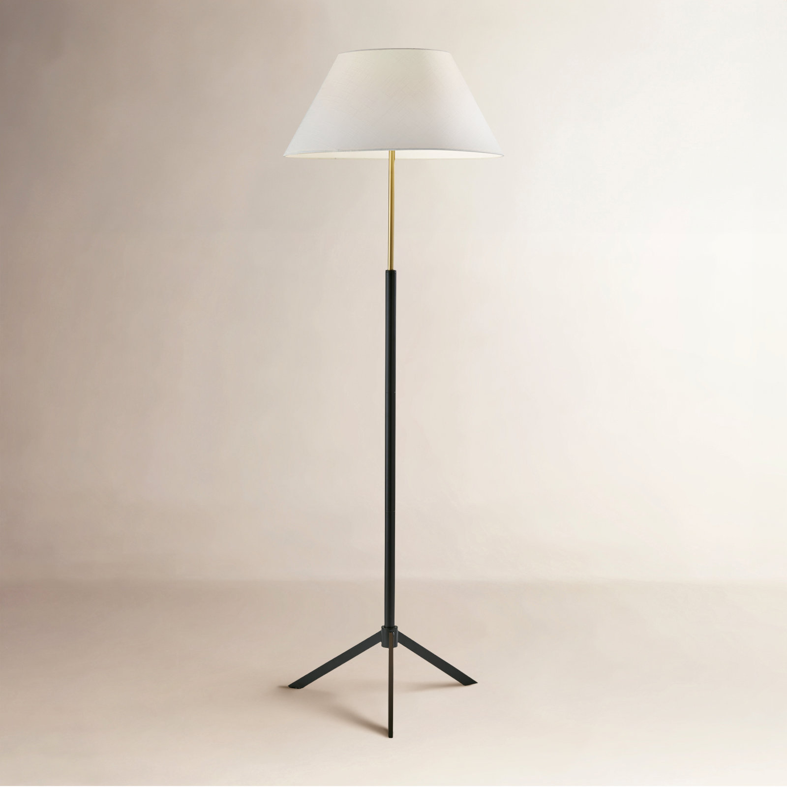 59.25'' Dimmable Floor Lamp