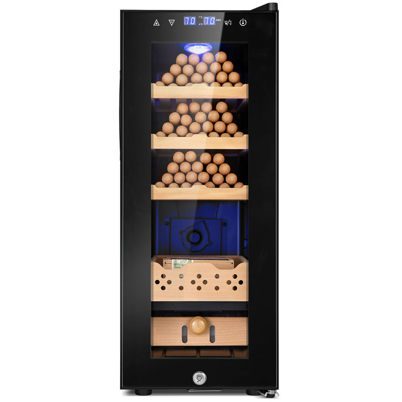 Armoire de refroidissement électrique thermostatique avec humidificateur électrique, grande capacité 25 litres et 200 points avec écran à DEL numérique, verrou de sécurité, contrôle intelligent de l'humidité et de la température, cadeaux pour h