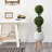 Boxwood Double Ball Topiary Tree in Planter with Stand