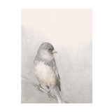 Sketch Bird Print by Sara Brown