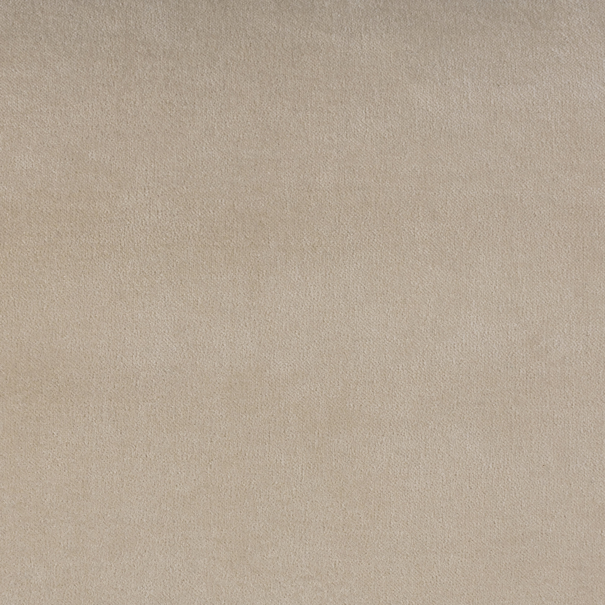 Norwin Cotton Throw Pillow, Down, Beige, 12"H x 30"W