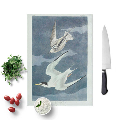Glass Lesser Tern Birds by John James Audubon Chopping Board