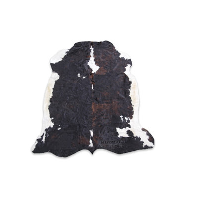 Southwestern Indoor Rug
