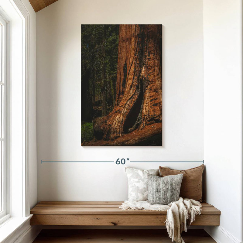 Harnek Sherman Trail Sequoia Trees, 45" H x 30" W