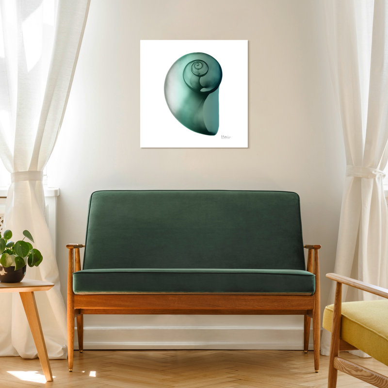 «Shimmering Snail II» par Albert Koetsier - reproduction de photo sur verre